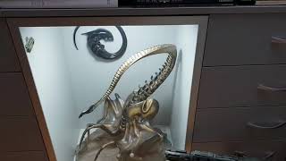 All my Sideshow alien statues