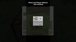 Player Minecraft Before Wiki Existed