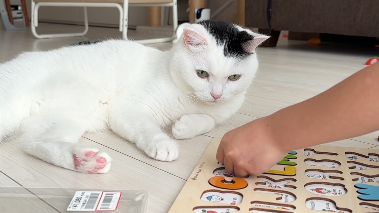 A Cat Stays Close to His Feverish Boy While Getting in the Way of