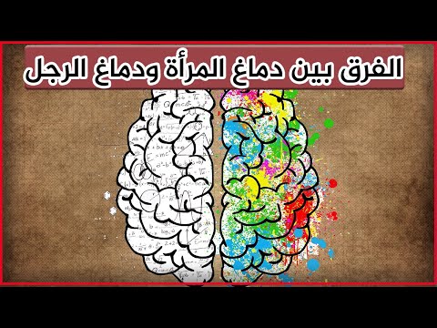 الفرق بين دماغ المرأة ودماغ الرجل 