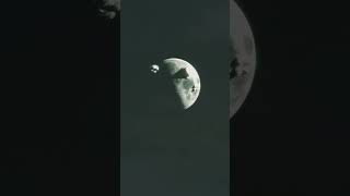 Langoli&$s eat the moon!😱😂(not real)