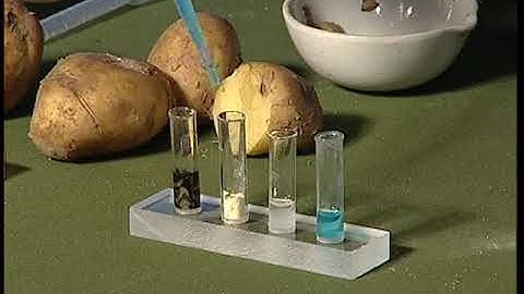 Test For Components Of Food