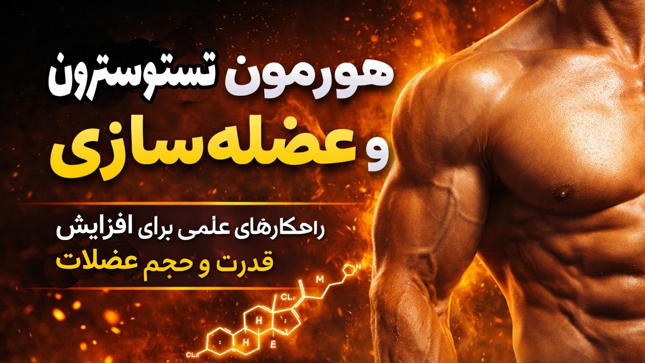 هورمون تستوسترون و عضله‌سازی | راهکارهای علمی برای افزایش قدرت و حجم عضلانی