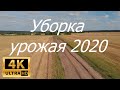 Уборка урожая 2020