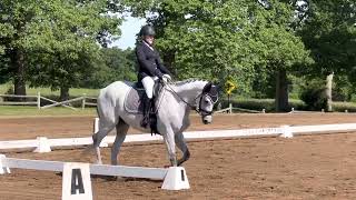 Casper Dressage 1