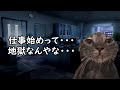 【地獄】ホワイト企業とブラック企業の「仕事始め」決定的な違い3選【猫ミーム】