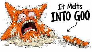 Why It Sucks To Be Born As A Starfish