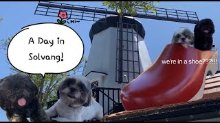 Dogs Go To: A Day In Solvang | Vlog #7 Hershey's Kisses