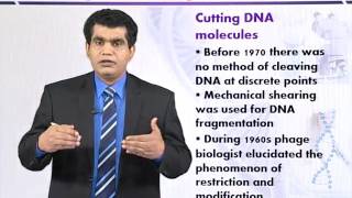 BIO732 Topic018