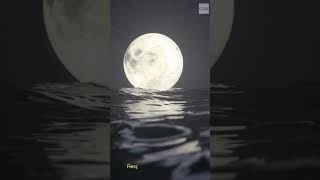 Você sabe como se formam as ondas do mar ? #culturageral #curiosidadedodia