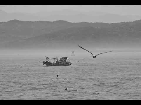 [TJ노래방라운지] 가슴아프게 - 남진