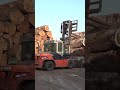 Wood slab tables: how huge logs become polished tabletops in Korea