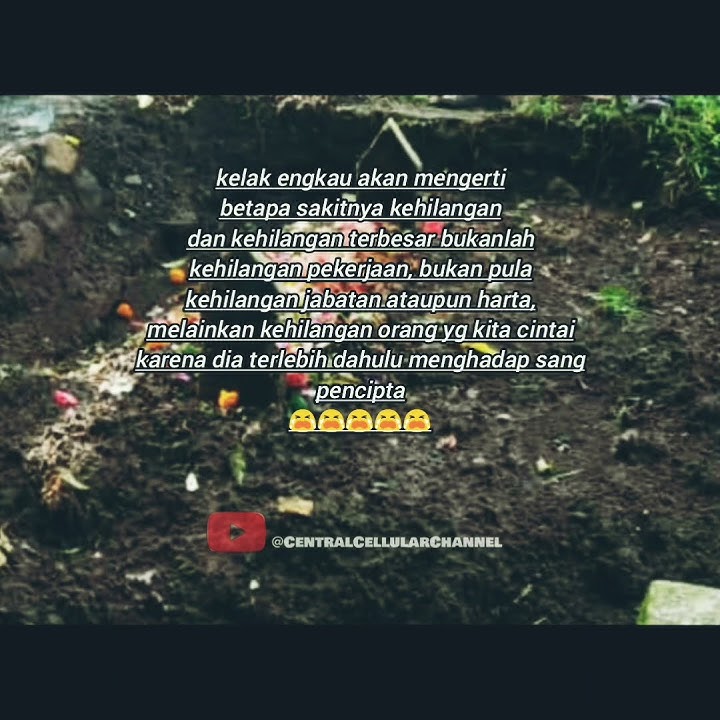 story wa 30 detik || kata-kata motivasi || ayah || sedih #shortvideo #shorts