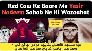 Red Heifer / RED COW BY YASIR NADEEM /LAAL GAYE BY YASIR NADEEM WAJIDI