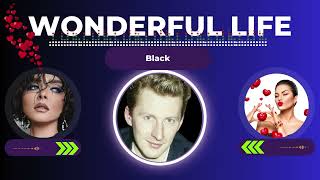 Video thumbnail of "Black - Wonderful Life"