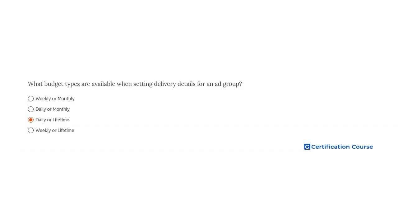 What budget types are available when setting delivery details for an ad group?