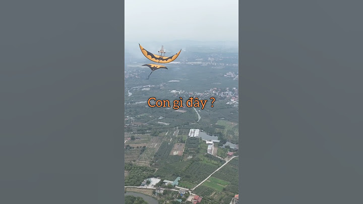 Diều sáo mấy đứa con nít bây giờ cắc chỉ biết free fire và liên quân làm gì biết thả diều