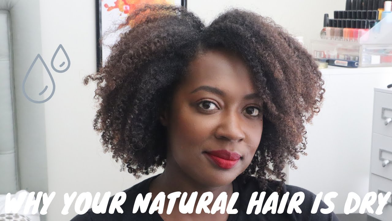 5 Reasons Your Natural Hair Is Dry & How To Fix | #TipTuesday - YouTube