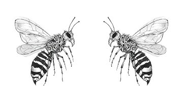 The Losts - A Dark Place to Hide (Official Lyric Video)