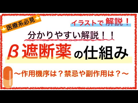 教科書をわかりやすく！「β遮断薬の仕組みとは？」〜作用機序や禁忌・副作用を解説〜