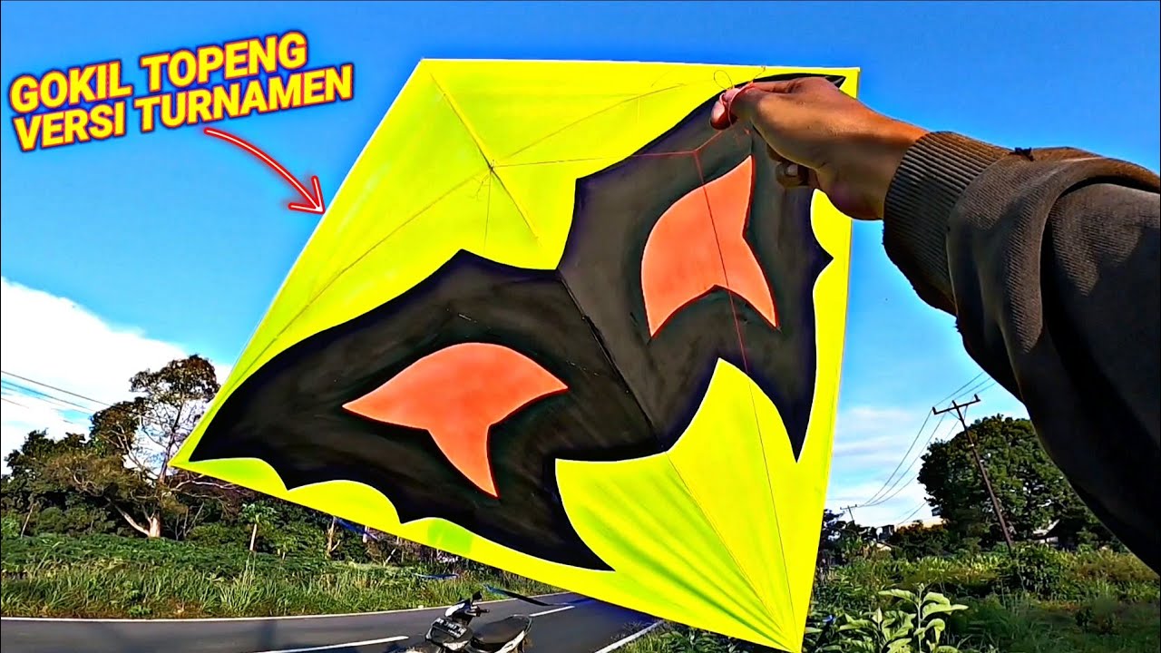 GOKIL DI KIRA SUDAH PUNAH TERNYATA LAYANGAN LANGKA INI MASIH EXSIS!