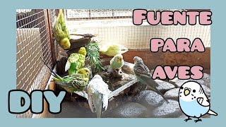 ¡Hice una fuente para mis periquitos | fuente casera! | DIY | Periquitos australianos