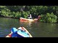 Kayaking Florida Sarasota Bay Lido key Mangrove tunnels #short