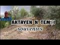 AKTAYEN S TWELLAFIN/ asefru d twellafin / #amar_tafat  #tamazight #ⵉⵎⴰⵣⵉⵖⴻⵏ