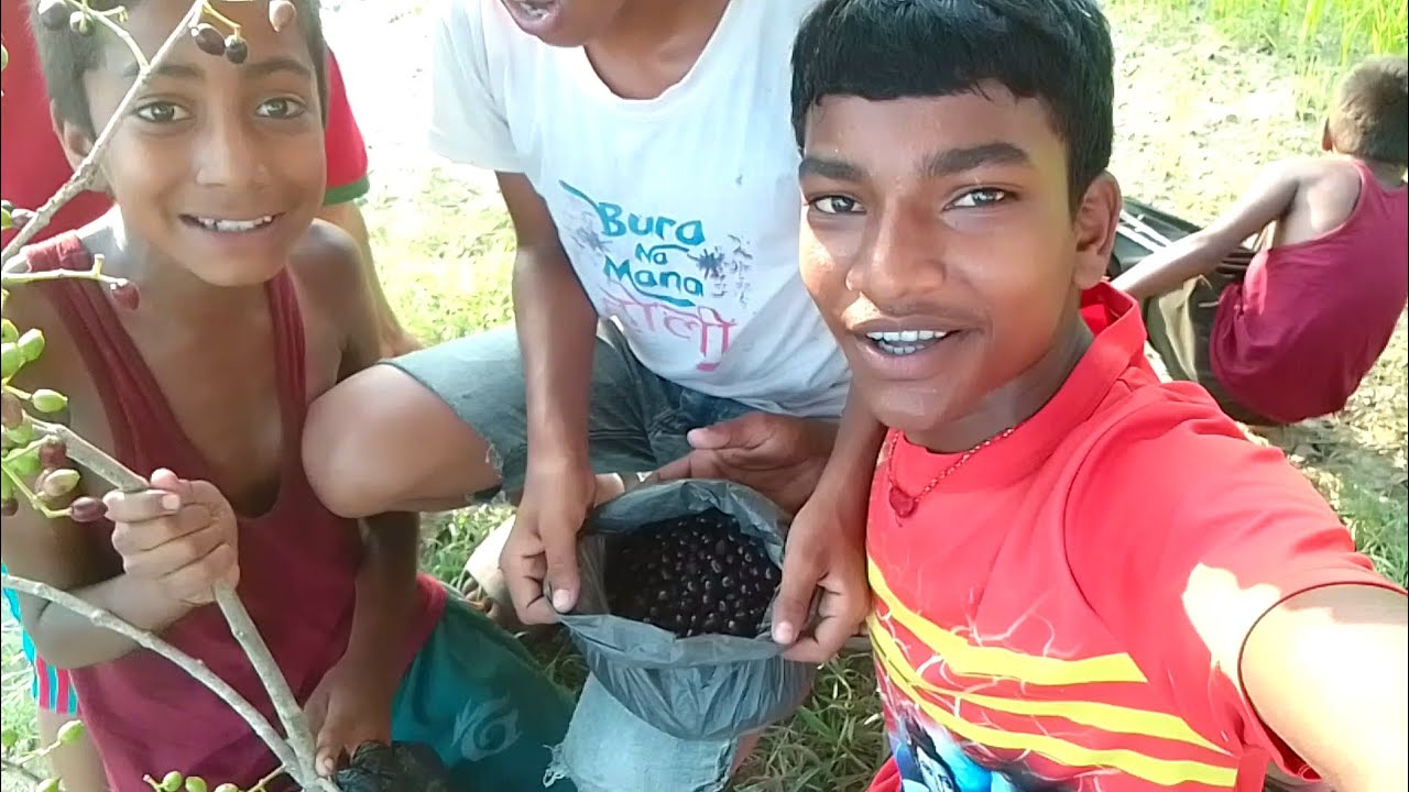 Ye Konsa fruit hai 😀 Village life style YouTube