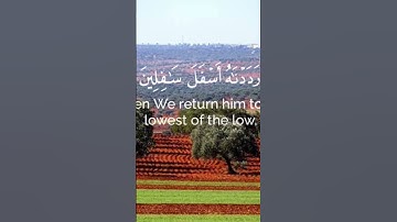 قرآن كريم🌱سورة التين (كاملة) 🌱القارئ: عبدالله الخلف…🌱♥ #السعودية #صلوا_على_النبي#فولو#لايك