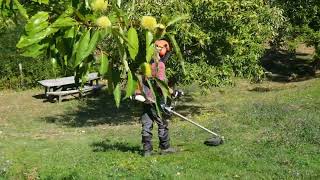 Θαμνοκοπτικο Bch 500 Oleo Mac - Καταστηματα Φραγκουλης