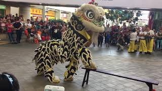 Download Lagu Hok San performance - Heritage fest @ Toa Payoh MP3