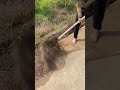 Young farming tools#farmlife #rogater #gardening #satisfying #asmr #agriculture #agro #nobatidao