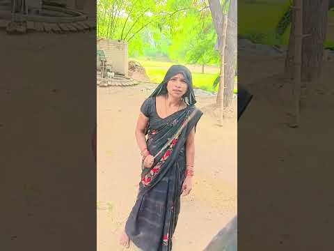 niche utar aap
