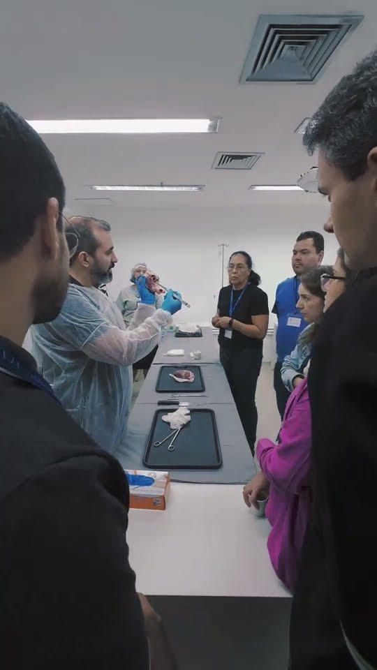 Dissecção de corações suínos na imersão POCUS Pediátrico