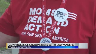 Moms demand action meets with lawmakers