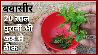 बवासीर 12 पत्तियां पीसकर पी लो 20 साल पुरानी भी एक रात में जड़ से खत्म// Piles Treatment At Home