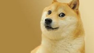 Doge Clicker - (Beta)