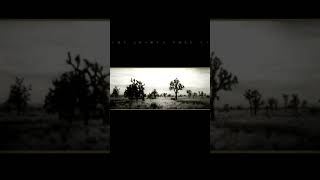 U2 - I Still Havent Found What Im Looking For