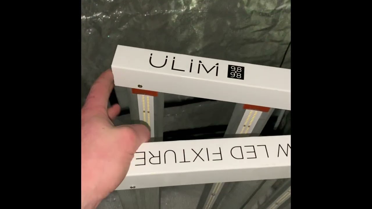 Grow Light and setup tour follow for more!