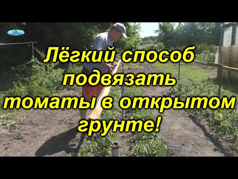 Шпалеры для помидор своими руками фото