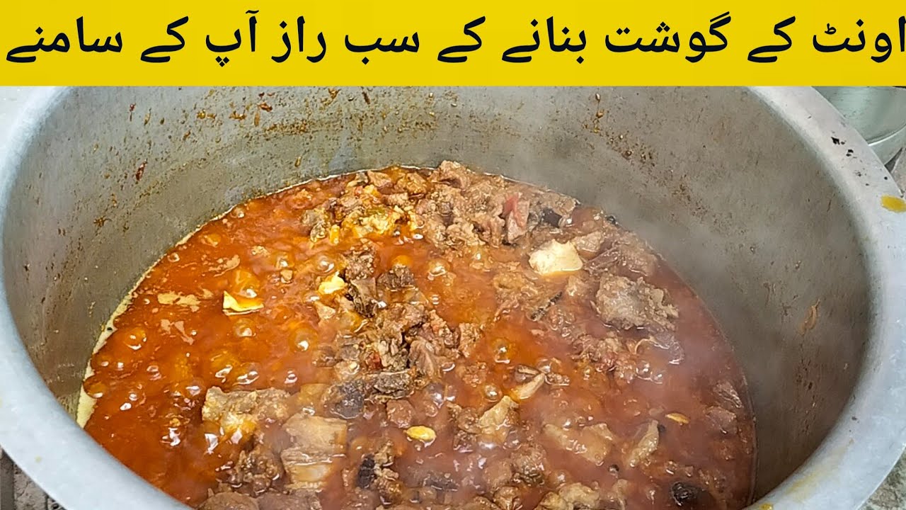 Camel meat 🍖 recipe healthy recipe red meat recipe  اونٹ کا گوشت بنانے کا طریقہ By MAFFA Food city