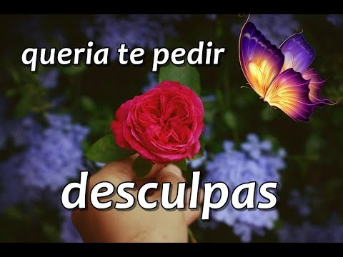 Mensagem de pedido de desculpas - vídeo de desculpas - para whatsapp - gif desculpas