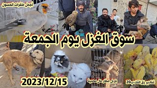 سوق الغزل لبيع الحيوانات في بغداد لهذا اليوم الجمعة 2023/12/15