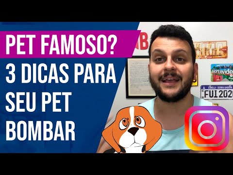 Vídeo: Fotógrafo capta a parte de baixo adorável dos animais de estimação