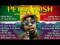 The Best of Peter Tosh 💚 Healing Reggae for Heart, Mind &amp; Mission