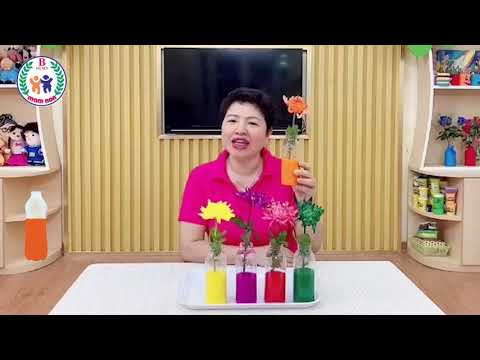 Hoa Đổi Màu - Khám phá : Thí nghiệm hoa đổi màu