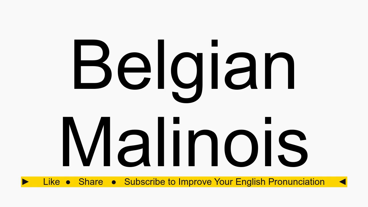 How to pronounce Belgian Malinois - YouTube