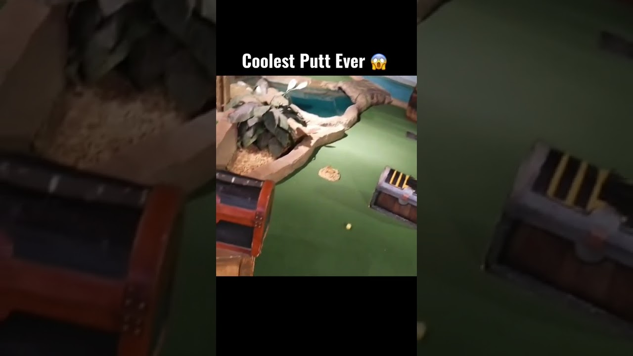 Coolest Mini Golf Shot Ever Made 😱 
