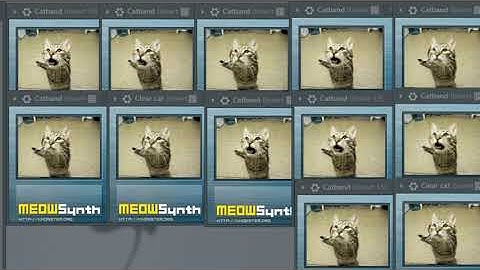 (MeowSynth) BIG SHOT!